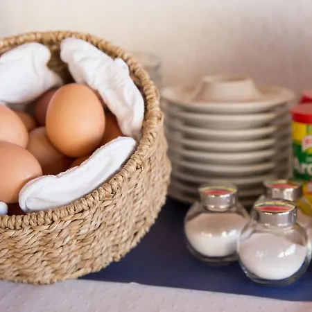 Metropol وينداو